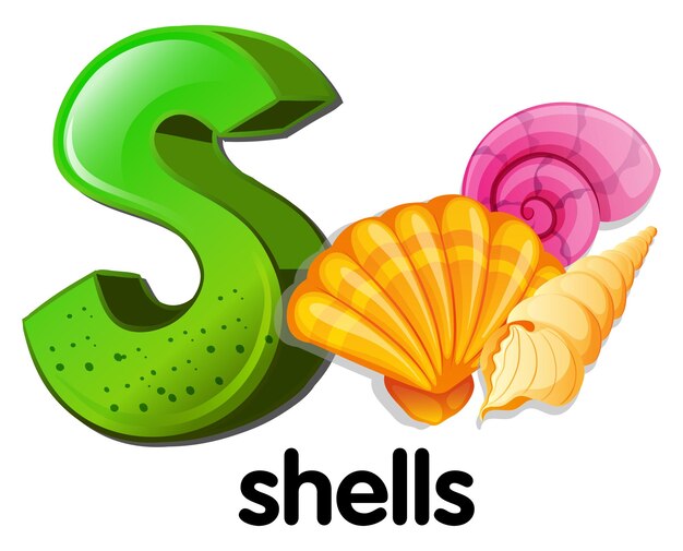 A letter S for shells