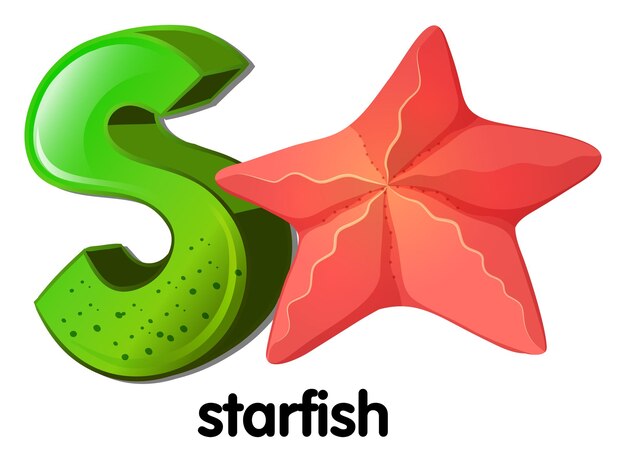 A letter S for starfish