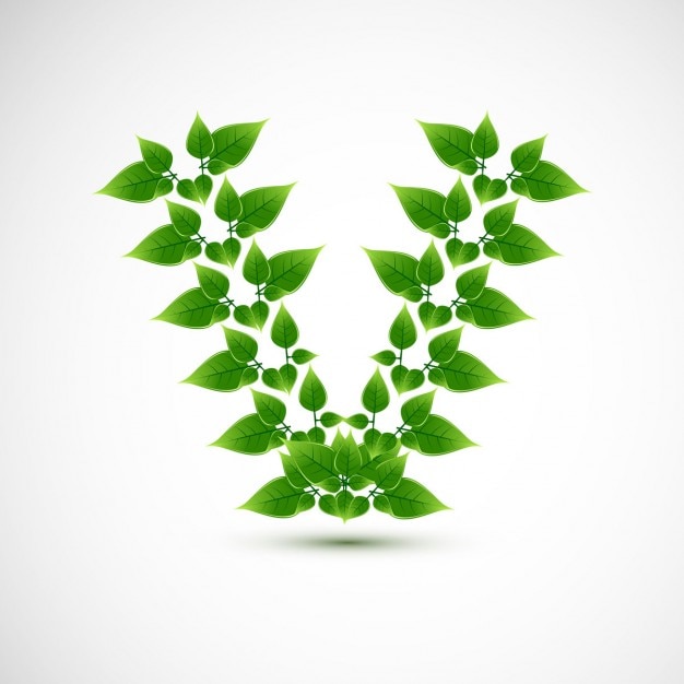 Free vector letter v design with leaves