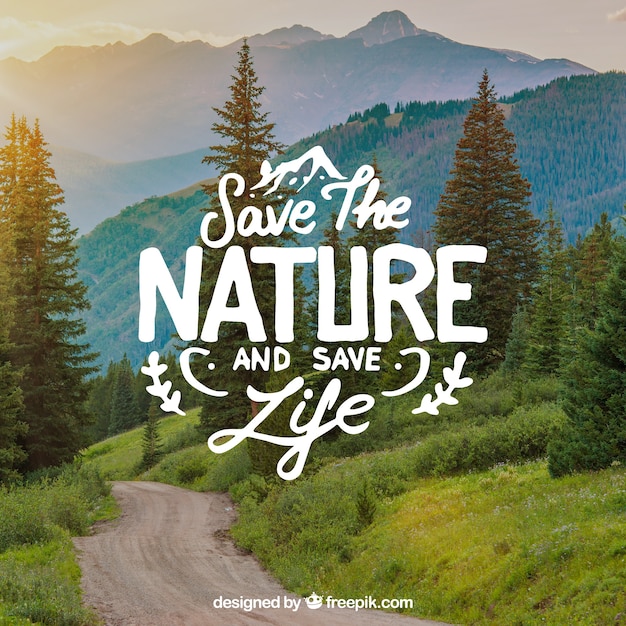 Free vector lettering and quote design on beautiful nature background