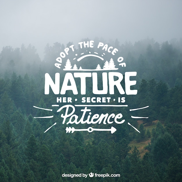 Lettering and quote design on tree background