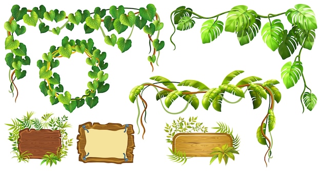 Free vector liana branch and frame from leaves