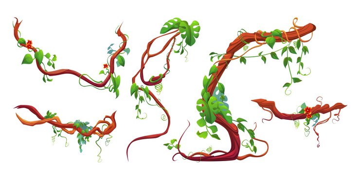Free Vector liana branch with green leaf and flowers