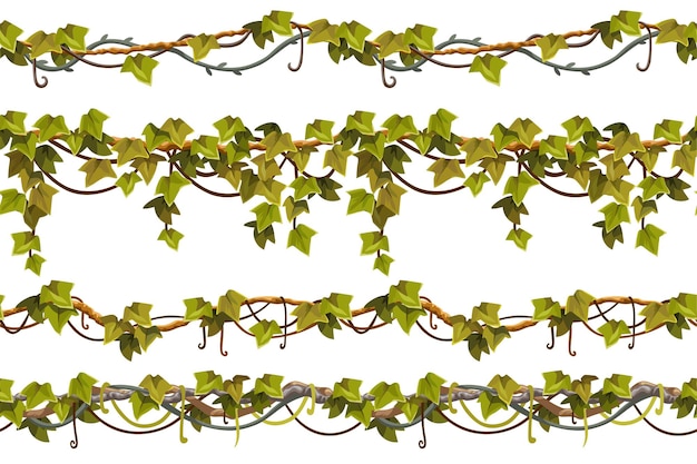 免费矢量藤本植物的树枝树叶边界集