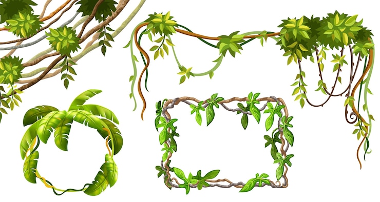 Free Vector liana branches and leaves.