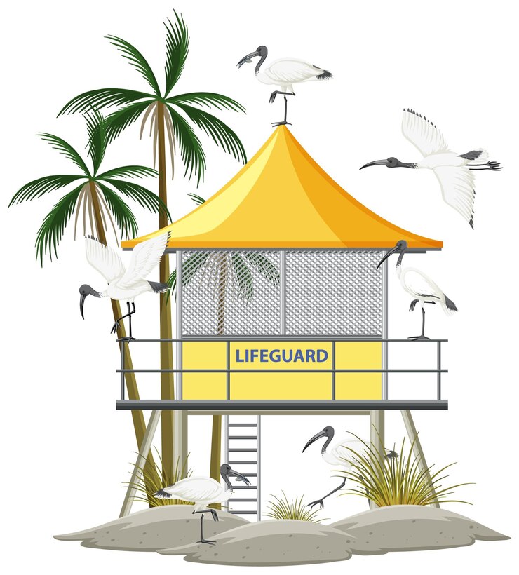 Free Vector lifeguard tower and australian white ibis group