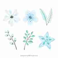 Free vector light blue and green winter flowers