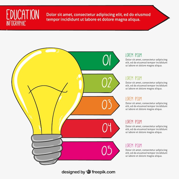 Light bulb on infographic about education