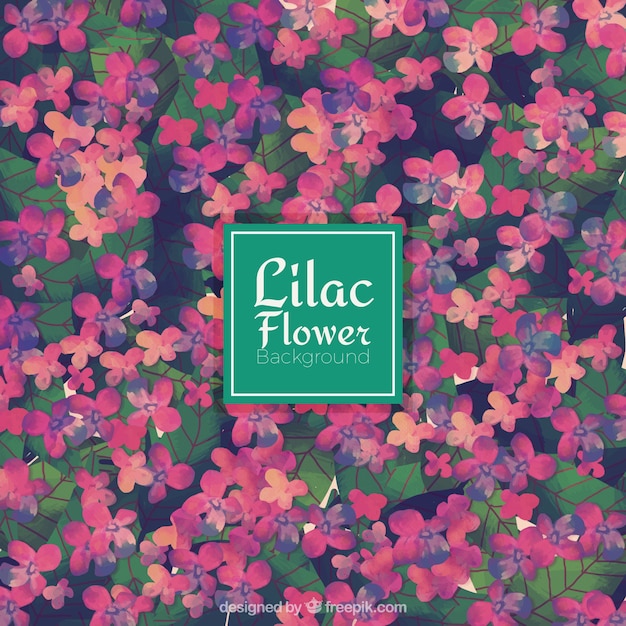 Free vector lilac flowers background