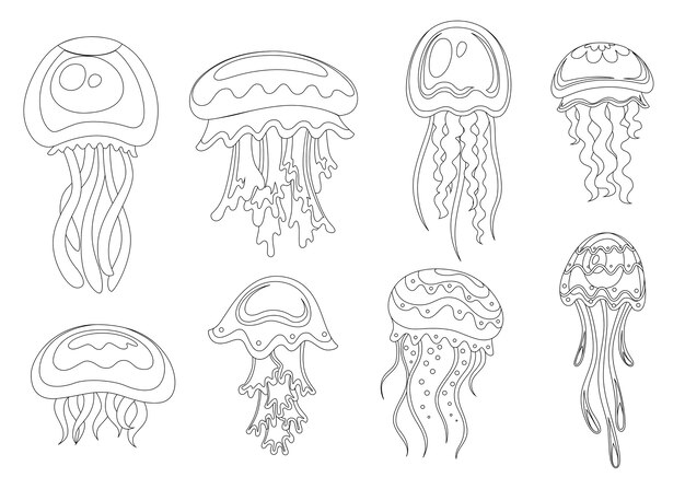 Premium Vector Line Style Set Of Sea Jellyfish Tropical Underwater Animal Aquatic Organism