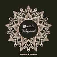 Free vector lineal mandala background concept