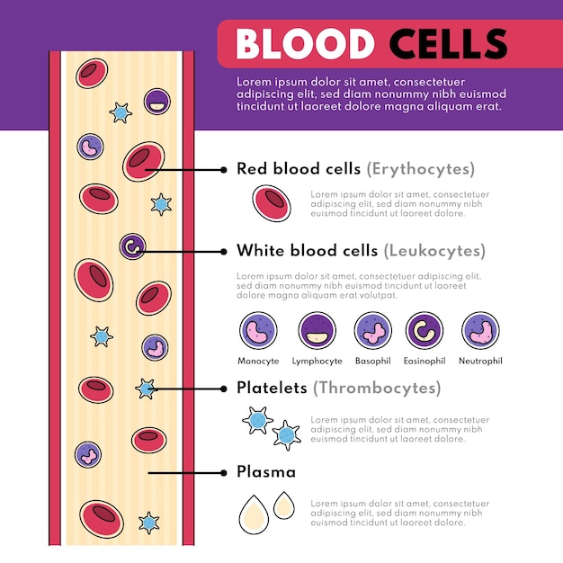 Vettore gratuito infografica sangue lineare