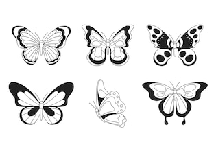 disegno farfalla