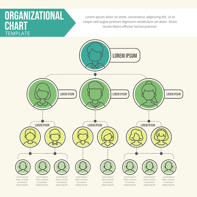 Linear flat organizational chart infographic with photo