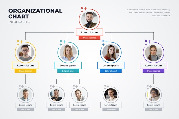 linear flat organizational chart infographic with photo