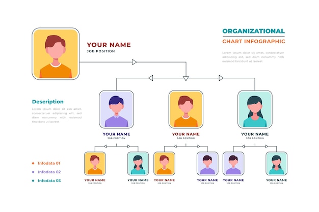 무료 벡터 선형 평면 조직도 infographic