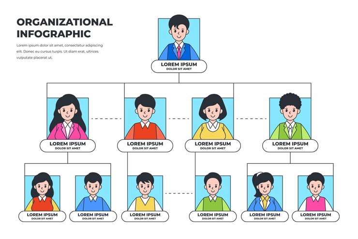 무료 Vector 선형 평면 조직도 infographic