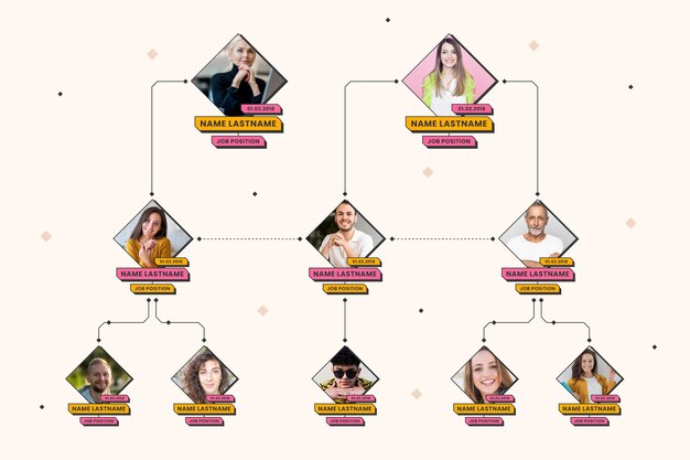 사진이있는 선형 평면 조직도