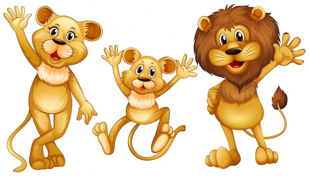 Lion family with one little cub illustration
