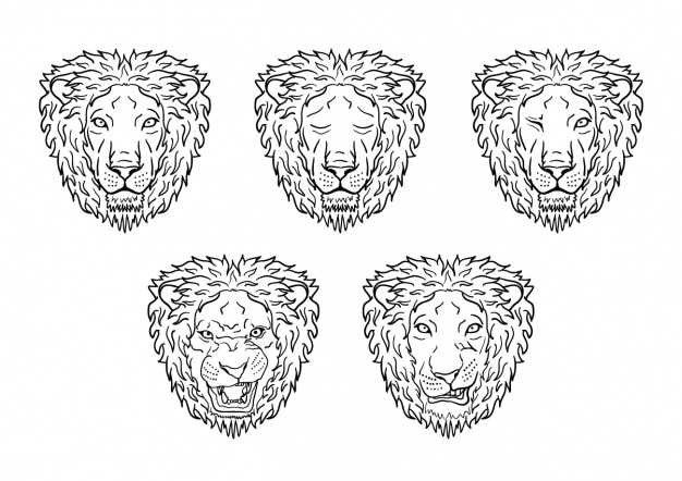 Free Vector lion heads collection