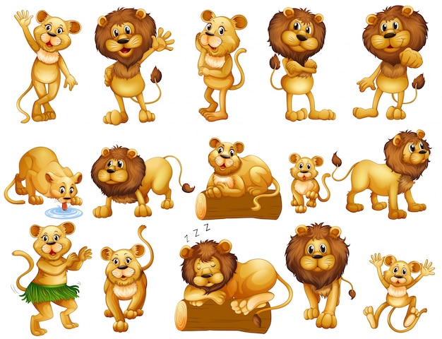 Lion and lioness in different actions illustration
