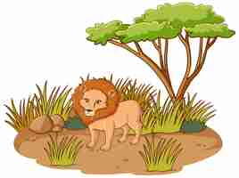 Free vector lion in savannah forest on white background