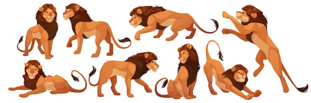 Free vector lion wild african animal leo king isolated set