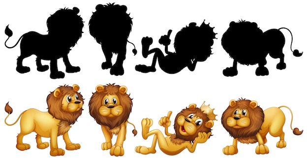 Free vector lion with its silhouette