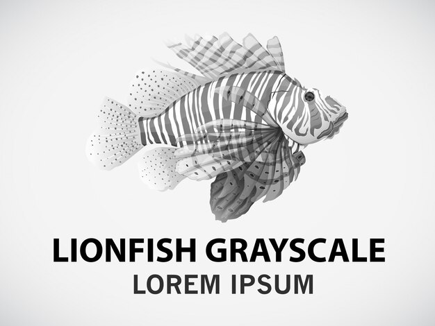 Lionfish