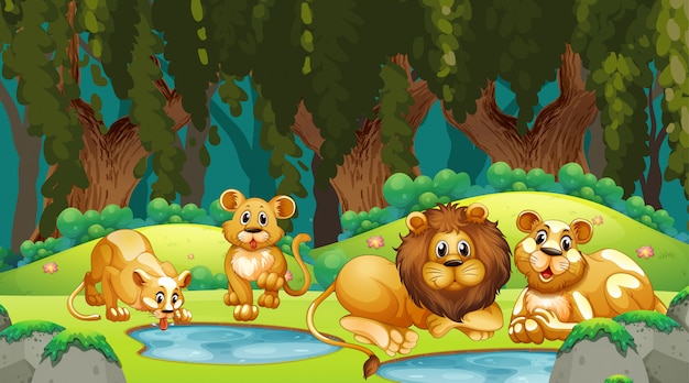 Lions in jungle scene