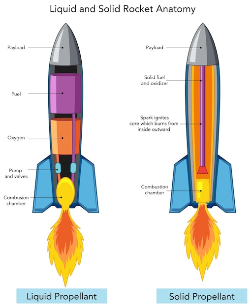 無料ベクター 液体および固体ロケットの構造