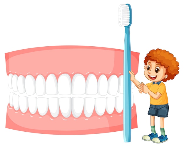 Free vector a little boy holding toothbrush with whiten teeth on white backg