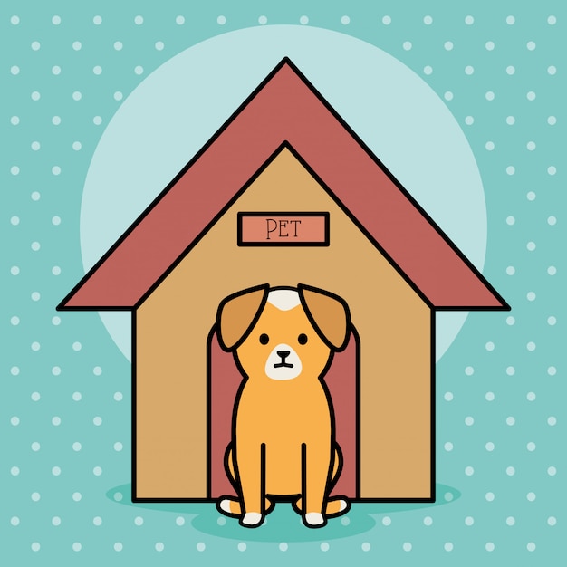 Little dog adorable with wooden house