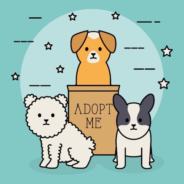 Free vector little dogs adorables mascots with carton box