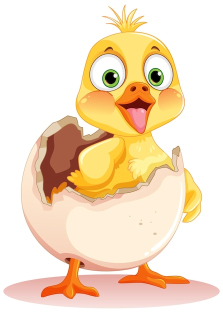 Free vector little duck hatching from egg