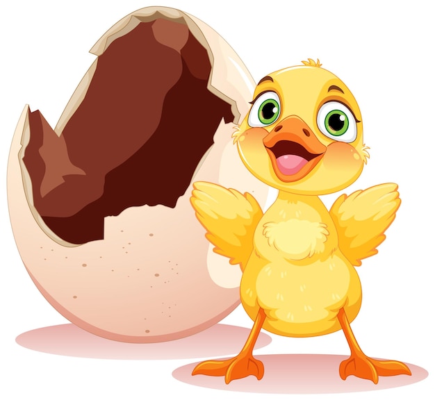 Free vector little duck hatching from egg