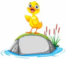 Free vector little duck standing on a rock