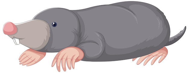 Mole little Vectors & Illustrations for Free Download | Freepik Mole little Vectors & Illustrations for Free Download | Freepik