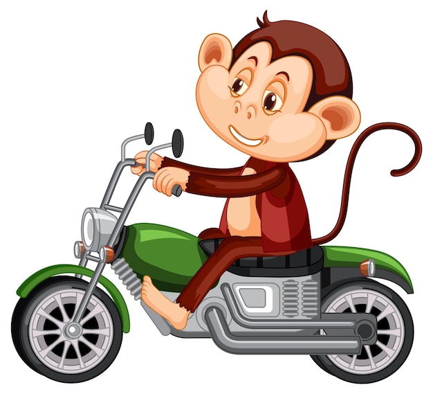 白い背景の上のオートバイに乗る小猿