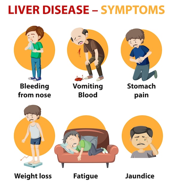 무료 벡터 간 질환 증상 만화 스타일 만화 스타일 infographic