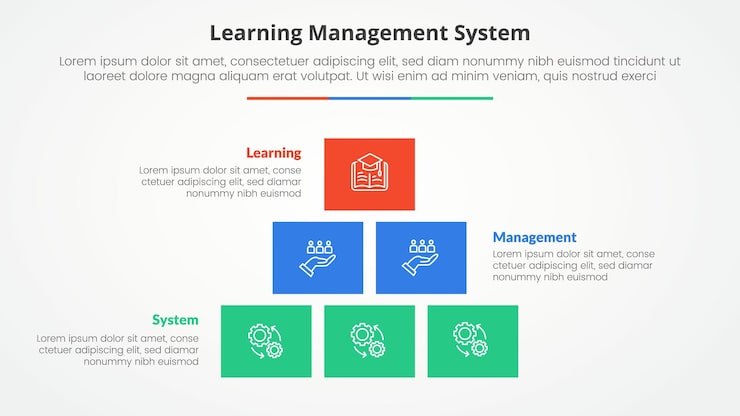 Free Vector lms learning management system infographic concept for slide presentation with box rectangle pyramid structure with 3 point list with flat style