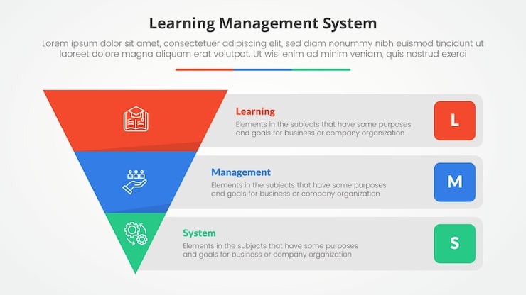 Free Vector lms learning management system infographic concept for slide presentation with reverse pyramid and rectangle box container description with 3 point list with flat style