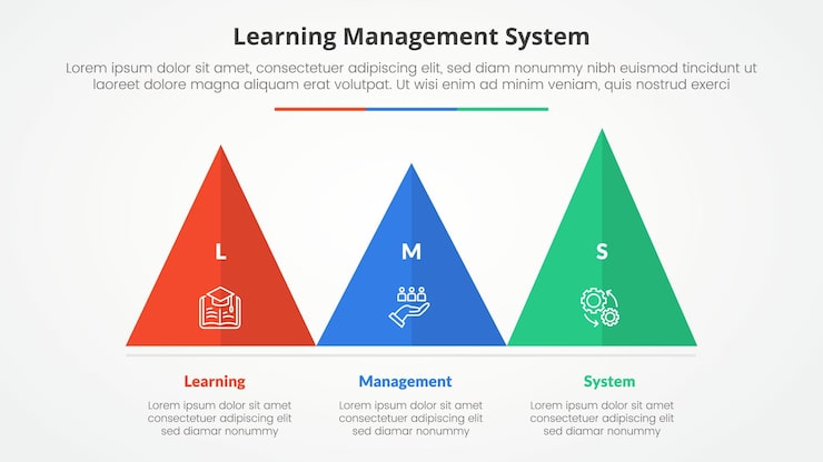 Free Vector lms learning management system infographic concept for slide presentation with triangle pyramid shape horizontal with 3 point list with flat style