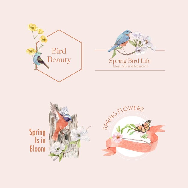 Logo design with birds and spring concept