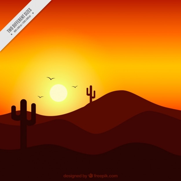 Free vector lonely cacti at sunset