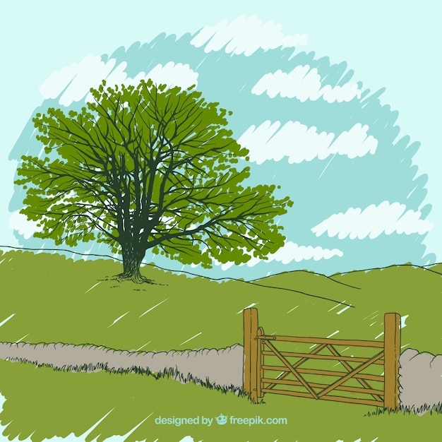 Бесплатное векторное изображение Одинокое дерево на лугу