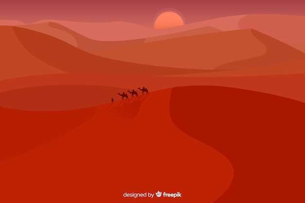 Long shot of camels in dunes