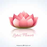 Free vector lotus flower