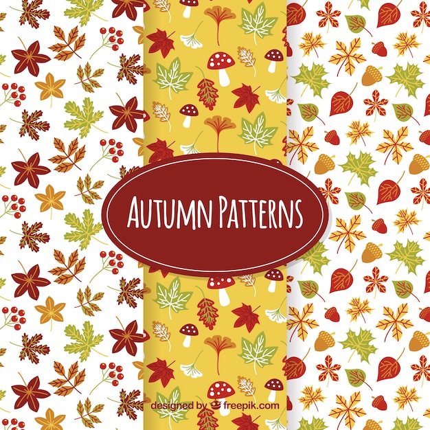Free Vector lovely autumn pattern collection with flat design