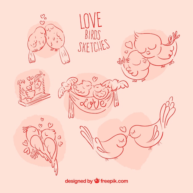 Free Vector lovely birds sketches pack